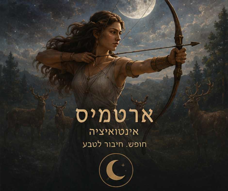 זוהר מור · Izzy Odyssey